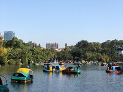 -桂湖森林公园