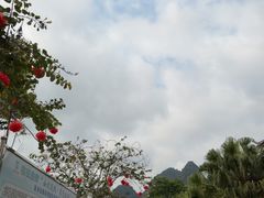 -靖西鹅泉风景区