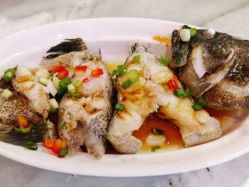 -臻康乃馨月子中心(集美店)