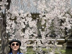 -醍醐寺