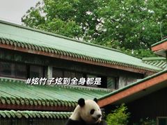 -广州动物园