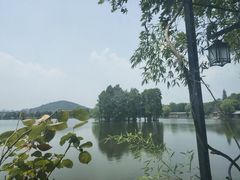 -东湖食堂·湖景餐厅•会议