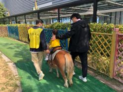 -萌宠亲子动物乐园(槐房万达店)