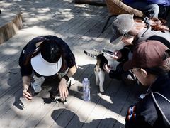 -沂蒙山旅游区云蒙景区(蒙山国家森林公园)