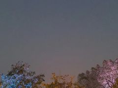 -黄鹤楼