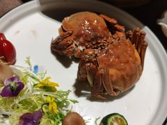 -樽宴酒楼·地道川菜·品质宴请