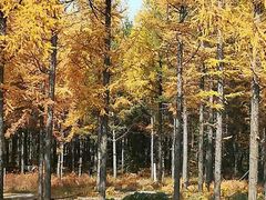 -御道口草原森林风景区-游客咨询处