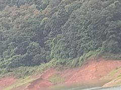-孔雀湖生态旅游区