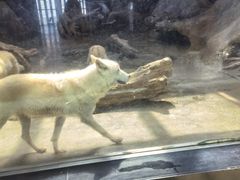 -西安曲江海洋极地公园