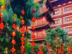 -大佛寺高级素食自助餐厅