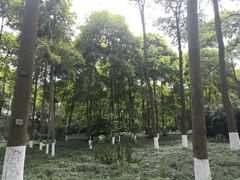 -宝光寺