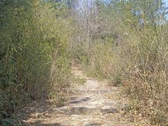 -东天目山风景区