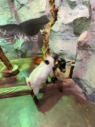 -Zoolung Zoolung动物主题公园(海信广场店)