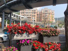 -山水肠粉(盐田店)