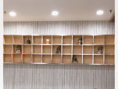 -CoCo都可(健翔桥店)