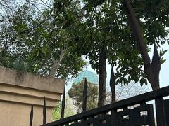 -东南大学(四牌楼校区)