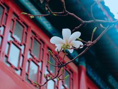 -大钟寺古钟博物馆