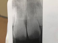 -同济大学附属口腔医院