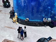 -OPEN開全日自助餐厅·牛肉火锅·海鲜(佛山希尔顿酒店)