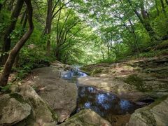 -秦岭风景区