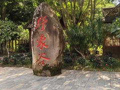 -野象谷景区