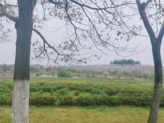 -凤凰沟景区