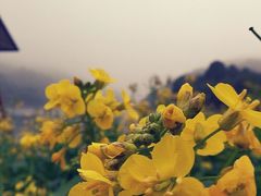 android_upload_pic-广州市石门国家森林公园