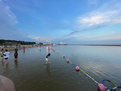 -碧海金沙