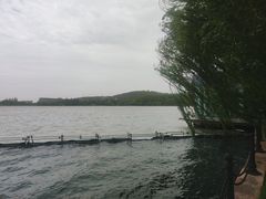 -上海月湖雕塑公园