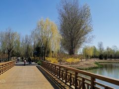 -东郊湿地公园