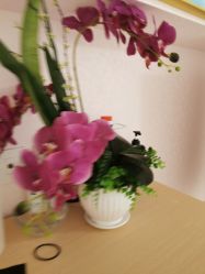 -薇兰专业脱毛连锁机构