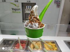 -Salud撒露欧洲冻酸奶(蓝色港湾店)