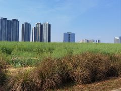 -光明小镇欢乐田园