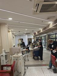 点击看大图 -PE SALON