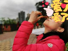 -王浩儿纪六孃甜皮鸭(乐山总店)