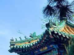 -北陵公园
