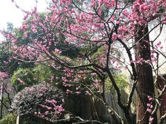 -岳王庙
