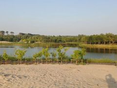 -东郊湿地公园