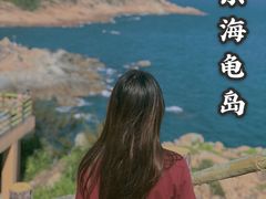 -广东惠东海龟国家级自然保护区