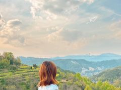 -桑洲油菜花景区