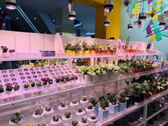-永旺梦乐城国际商城(北清路店)