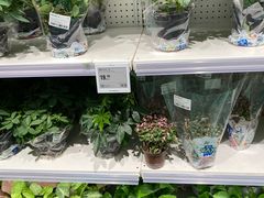 -盒马X会员店(上海森兰商都店)