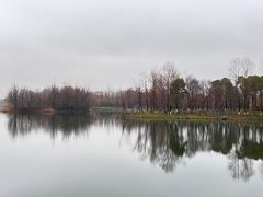 -洋湖国家湿地公园