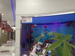 -雅悦齿科(顾村公园店)