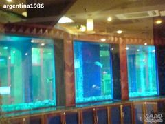 -青岛华客度假酒店(极地海洋世界店)