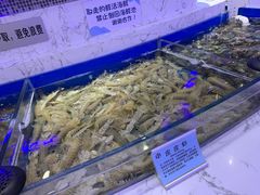 -澜悦港海鲜体验主题餐厅