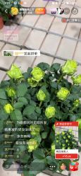 -Lily纤美·科技减脂中心