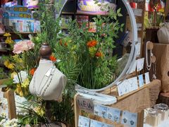 -九木杂物社(东方新天地店)
