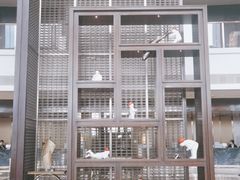 -舟山希尔顿酒店