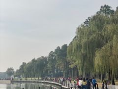-上海月湖雕塑公园